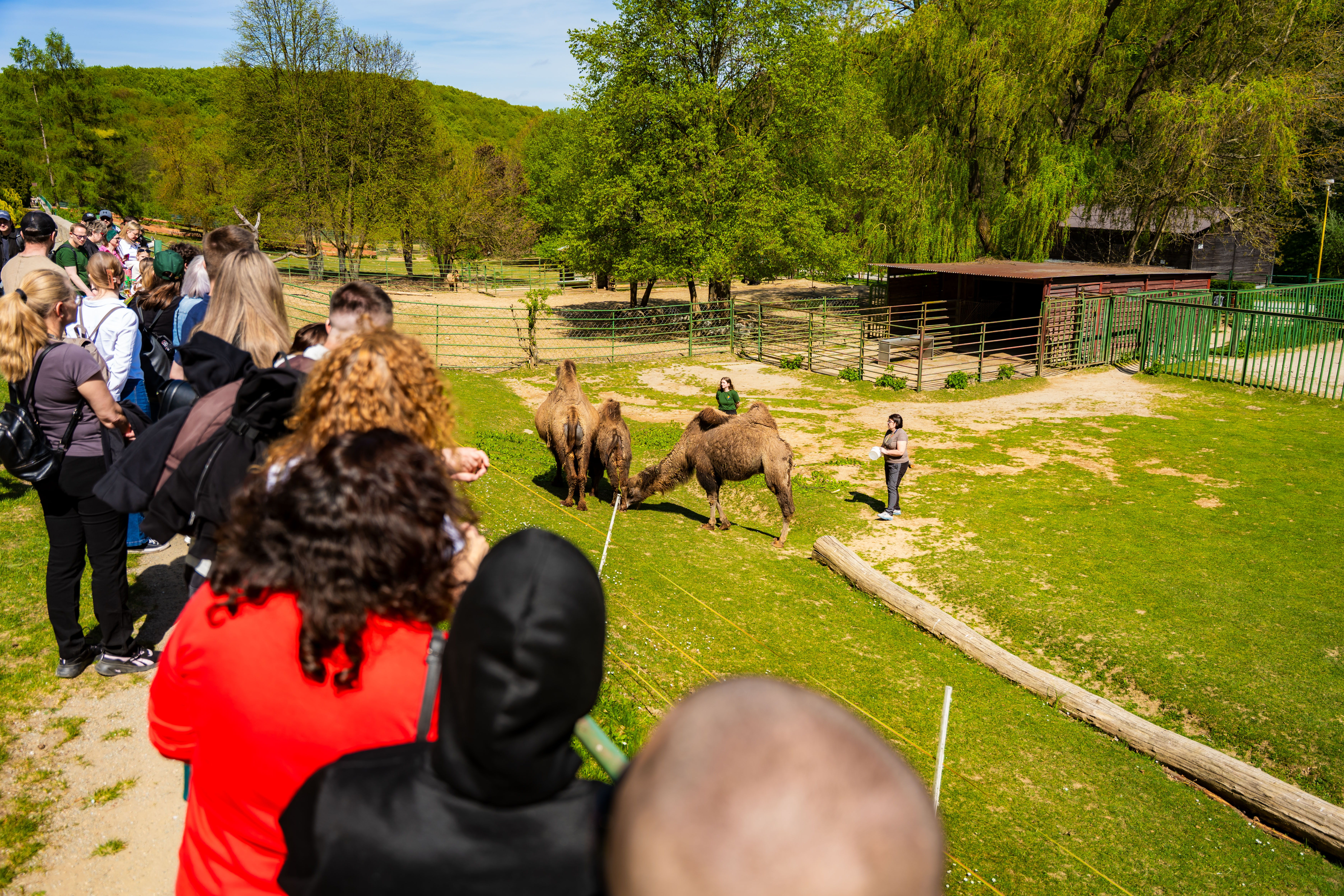 Den Zeme v Kosickej ZOO-1-18